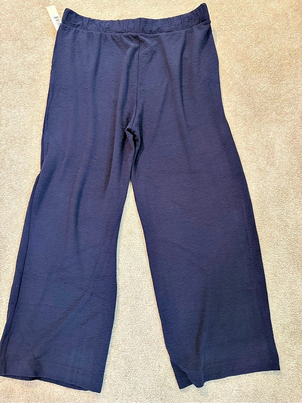 Cyrus Wide Leg Pants in Blue Size XL NWT